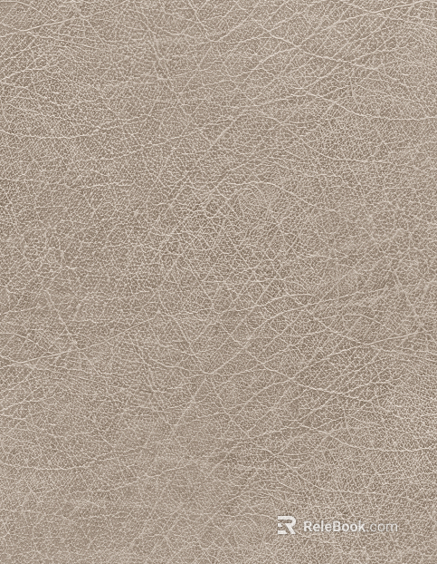Coarse-grain leather texture