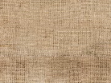 Plain pattern carpet texture (ID:ffagg74099)