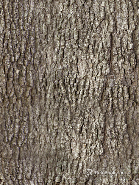 bark texture