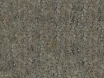 bark 3d model