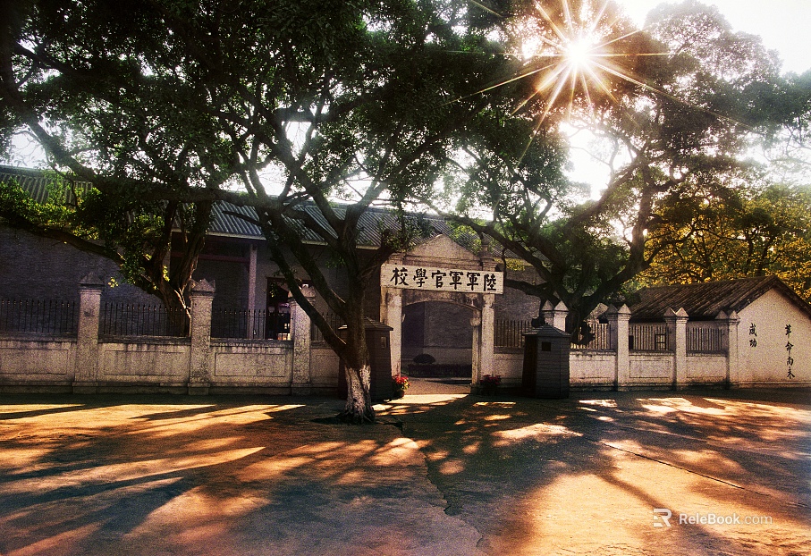 School texture
