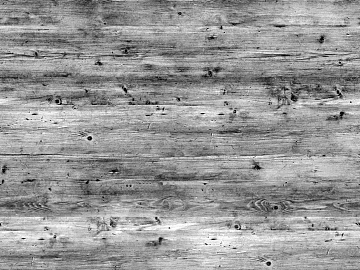 Black and white wood grain texture (ID:ffacg25997)