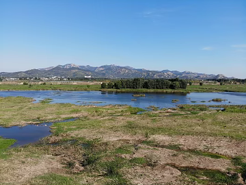 Wild Scenery texture (ID:ffacf2562)