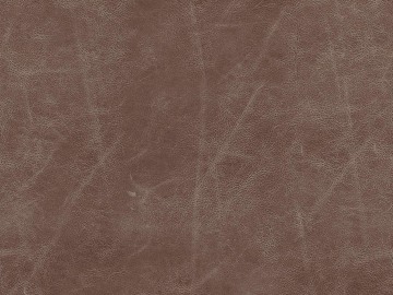 fine grain leather texture (ID:ffaeg92253)