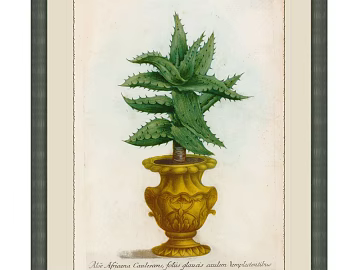 Plant painting texture (ID:ffabg61178)