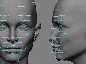 face modeling 3d model