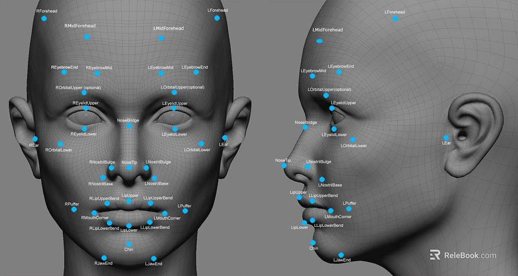 face modeling texture