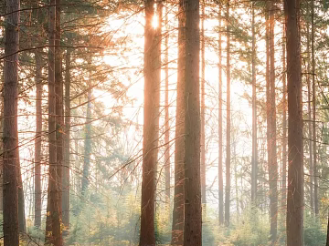landscape painting texture (ID:ffabf2739)