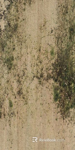 Beige old wood outdoor ground texture