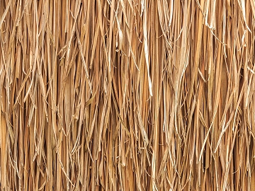 Thatched roof texture (ID:ffaag17080)