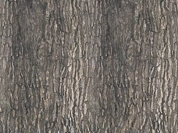 bark texture (ID:ffaag35787)