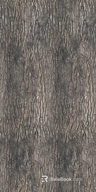 bark texture