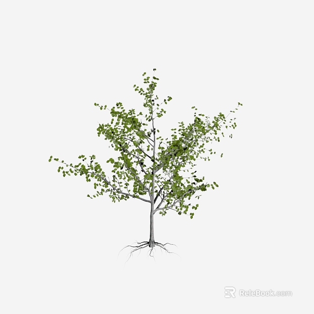 Tree texture