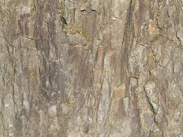 Rock texture (ID:ffach864706)