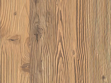 Nabrodi Country Fir 3d model