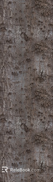 bark texture