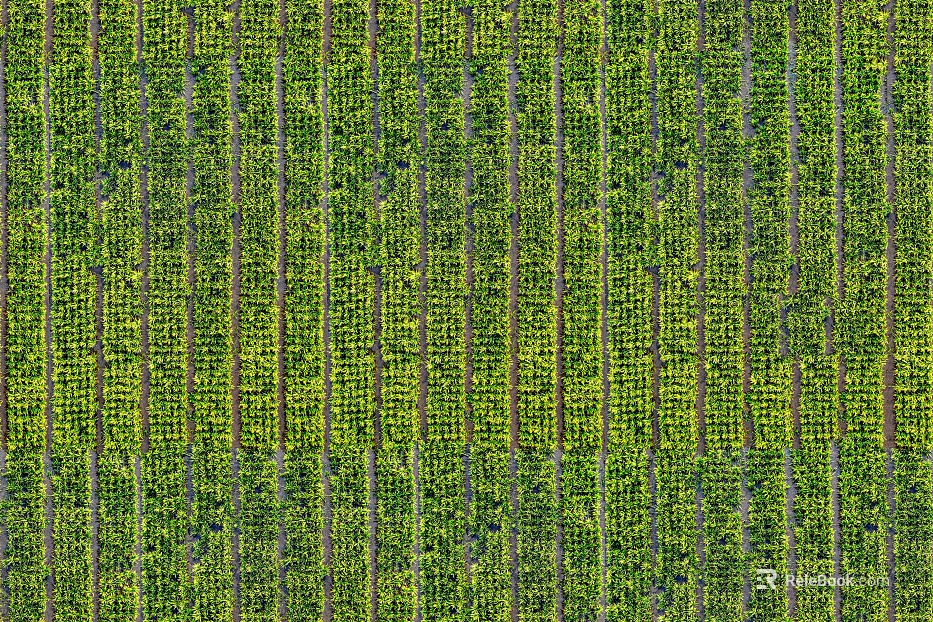 Turf texture