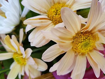 Flowers texture (ID:ffabg30303)