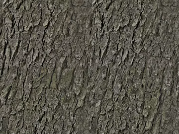bark texture (ID:ffacf5363)
