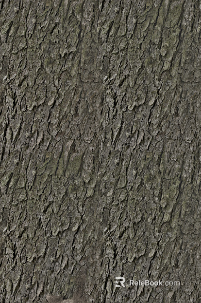 bark texture