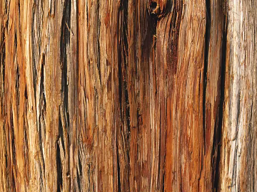 Wood grain texture (ID:ffaag99712)