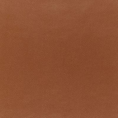 Fine-Grain Leather