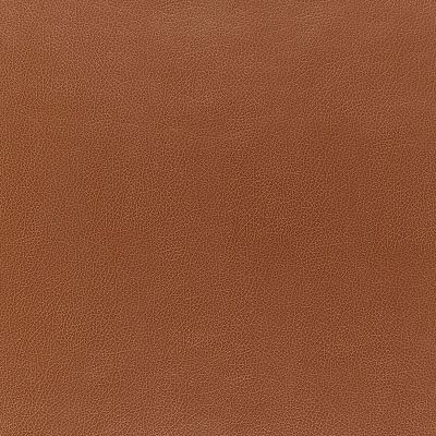 Fine-Grain Leather