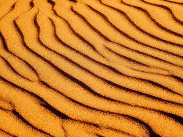 Beach texture (ID:ffabg99142)