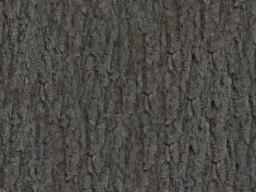 bark texture (ID:ffaag53871)