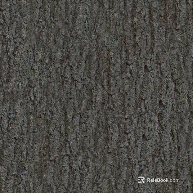 bark texture
