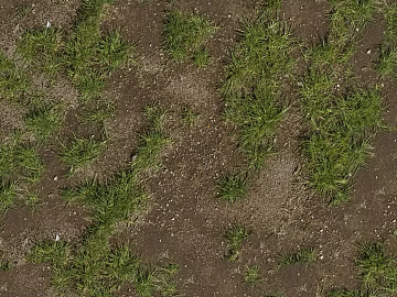 Turf texture (ID:ffabf0190)