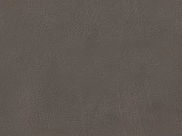Coarse-grain leather texture (ID:ffaeg49883)