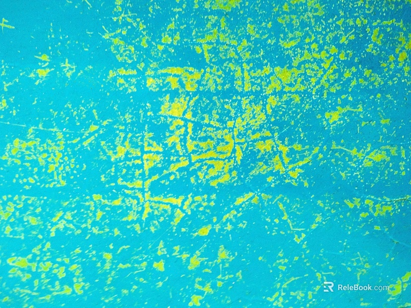 Paint wall texture