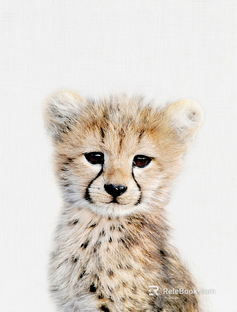 Animal painting texture