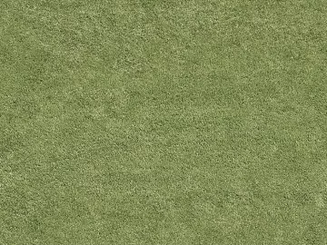 Turf texture (ID:ffajg55360)