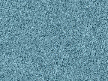 Mud texture (ID:ffaeg88347)