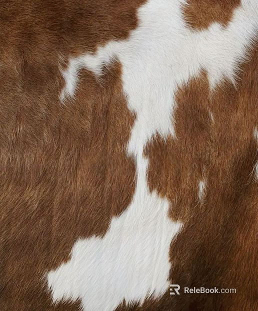 Animal Blanket texture