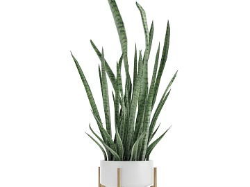 Plants texture (ID:ffabg83694)