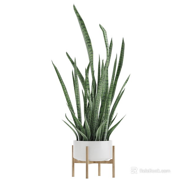 Plants texture