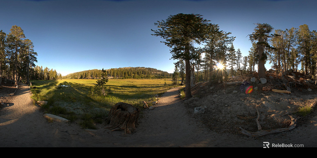 Outdoor lawn day HDR texture