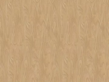 Ocean Board Birch Multilayer Board 3d model