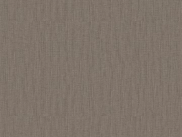 plain cloth 3d model