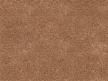 fine grain leather 3d model
