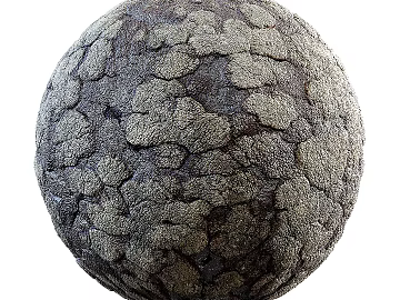 Biological Fur PBR texture (ID:ffach799994)