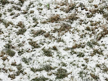 Ground-Snow texture (ID:ffaaf8338)