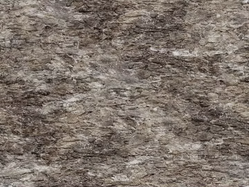 Rock texture (ID:ffagg70051)