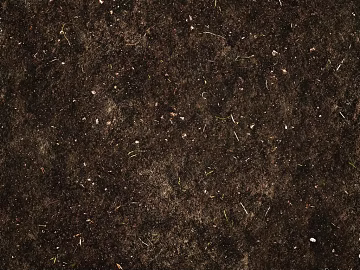 Mud texture (ID:ffach876136)