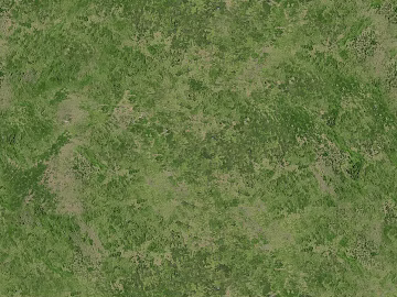 Turf texture (ID:ffabg81368)