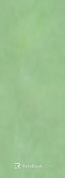 Paint texture