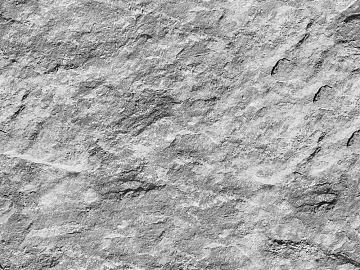 Rock 3d model
